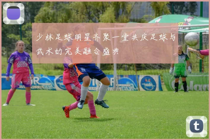 少林足球明星齐聚一堂共庆足球与武术的完美融合盛典