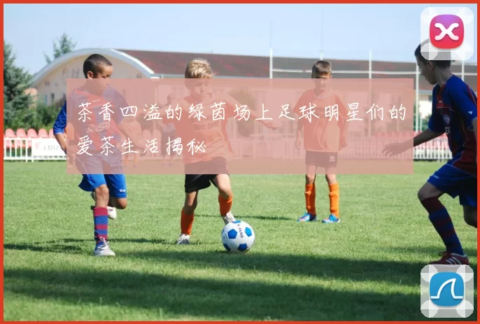 茶香四溢的绿茵场上足球明星们的爱茶生活揭秘